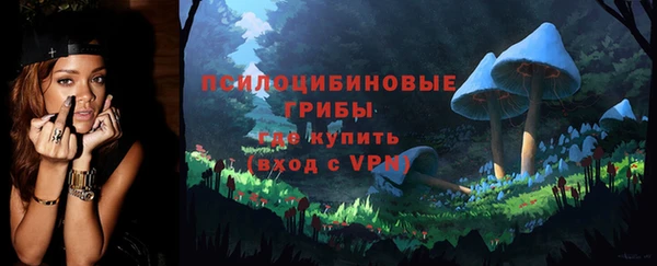PSILOCYBIN Балабаново