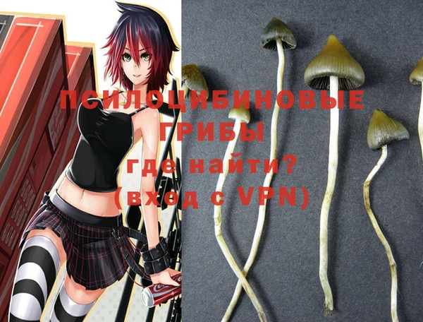 PSILOCYBIN Балабаново