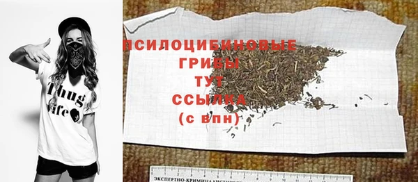 PSILOCYBIN Балабаново