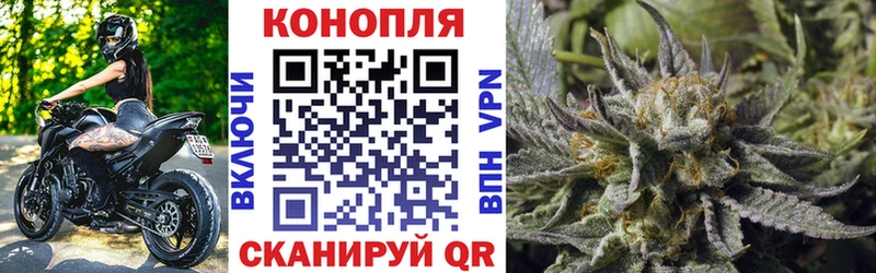 Конопля OG Kush  Купить закладки  Череповец 